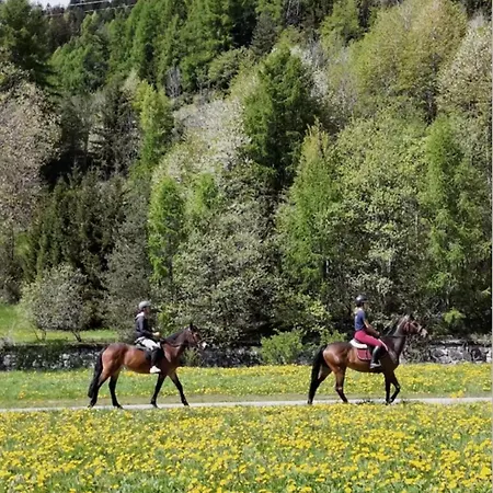 Daire Sankt Moritz Suite Saint-Moritz