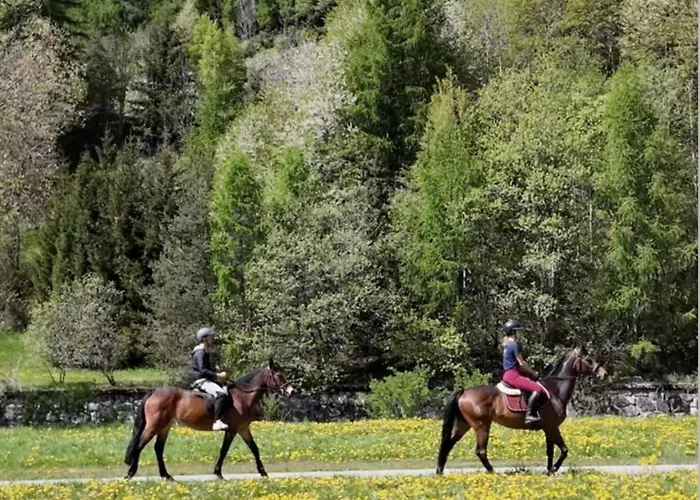 Appartamento Sankt Moritz Suite Sankt Moritz